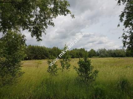 działka inwestycyjna powyżej 1 ha