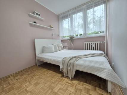 CICHO I ZIELONO ZA OKNEM, ROZKŁADOWE