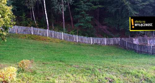Siedlisko Nowa Huta koło rezerwatu Zamczysko