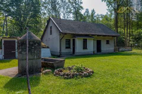 DOM Z BUDYNKAMI W LEŚNEJ OTULINIE