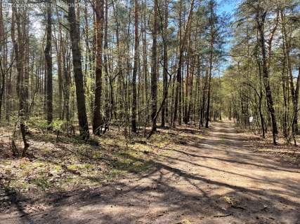 Otwocj, 2680 m2, MPZP, wolnostojący