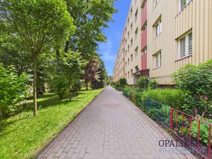 3 pokojowe z balkonem i piwnicą