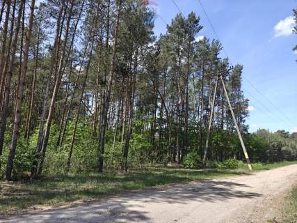 Krzyżówka urokliwa działka z potencjałem 