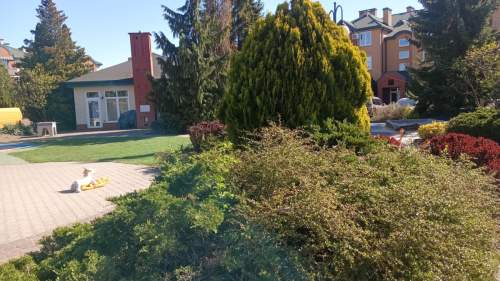 Ogródek, garaż, komórka, osiedle zamknięte