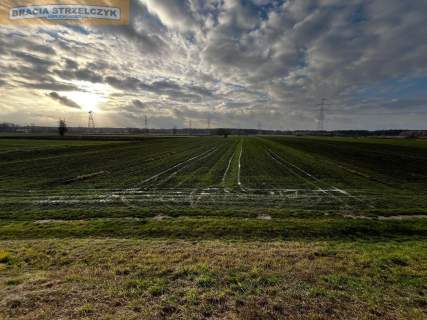 Działka rolna na sprzedaż, 4939 m2, Świerże Górne