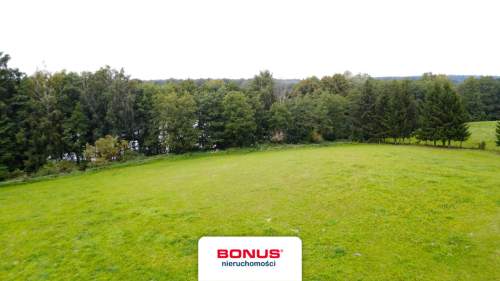 Mazurska Oaza - 2,16 ha z linią brzegową