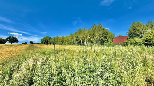 Bezczynszowe Apartamenty Duże ogródki 