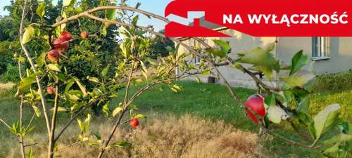 Ładna, uzbrojona działka pod lasem-33a-Wilczopole