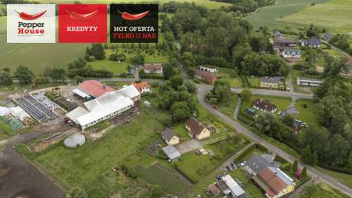 Dom do remontu lub odbudowy, Stegny Elbląg Pasłęk