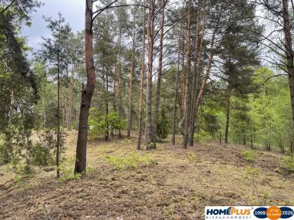Działka w lesie 2064 m - letniskowa i całoroczna