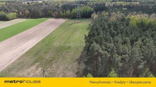 Działka na sprzedaż, 12015 m2, Gołąbek