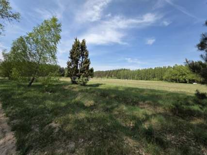 Działka na sprzedaż, 16797 m2, Rogacze