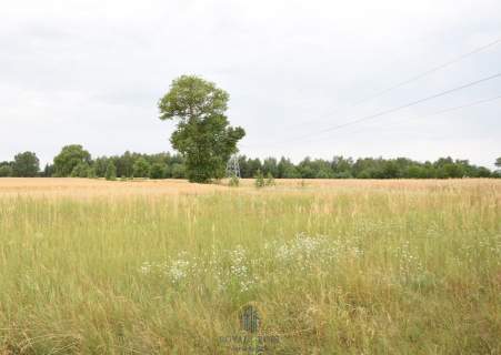 Działka budowlana 8 200 m2