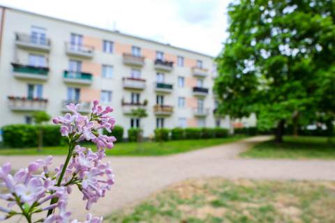 Spokojna okolica, dużo zieleni i świetny układ