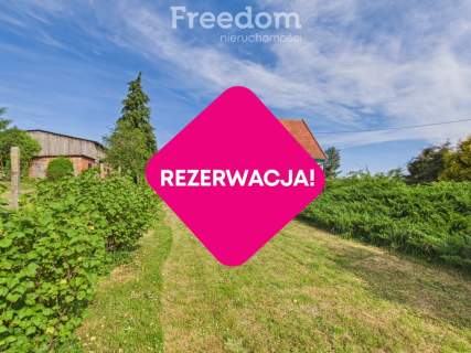 Sielskie siedlisko bez sąsiadów