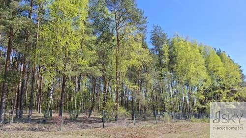Drogoszowice, mpzp, budowalna z prywatnym lasem