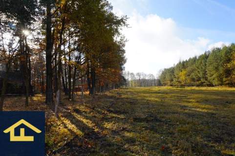 Działka z linią brzegową jeziora