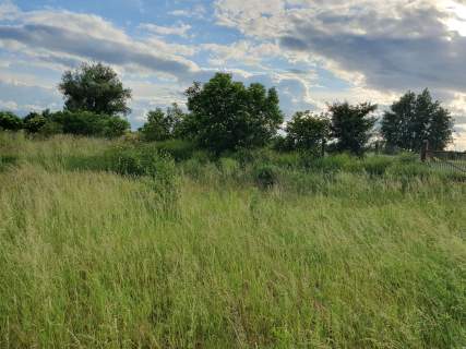 Ogrodzona działka Grobelno / Malbork, 2249 m2, posiada WZ