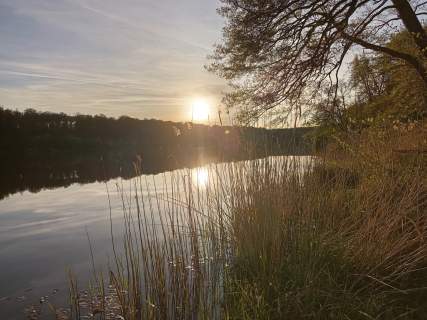 Działka budowlana 1000m2. Spokojna okolica