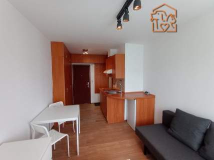 Zbigniewa 2, przyjazne zwierzętom studio