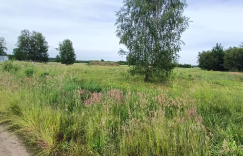 Działka budowlana - Grzymalin