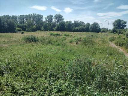 Działka inwestycyjna na sprzedaż, 9950 m2, Gronowo Górne