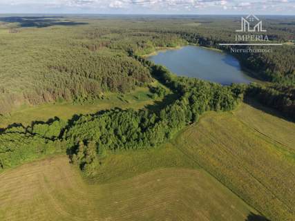 3,3 ha w sercu Borów Tucholskich - łąki las Mermet