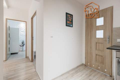 2 pokoje, pet-friendly, komórka - Lisa 8