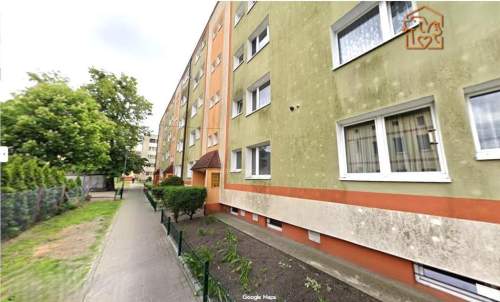 Zbigniewa 2, przyjazne zwierzętom studio