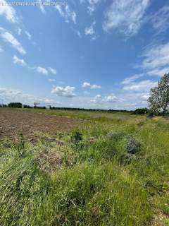 Wilanów Powsin, usługowo-budowlana, MPZP