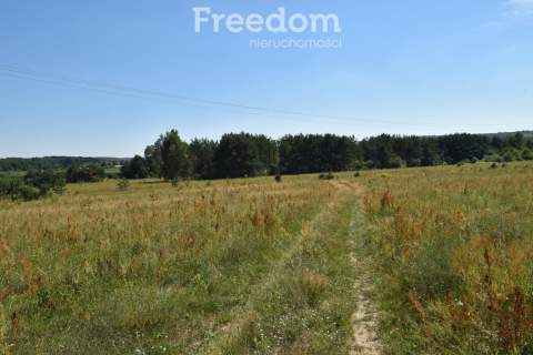 Działka 21 352 m z częścią budowlaną - Kunów