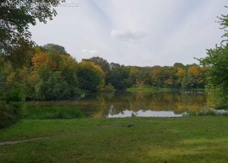 Saska Kępa, Lipska, 4 pok., 89/101 m2, 1939 r.