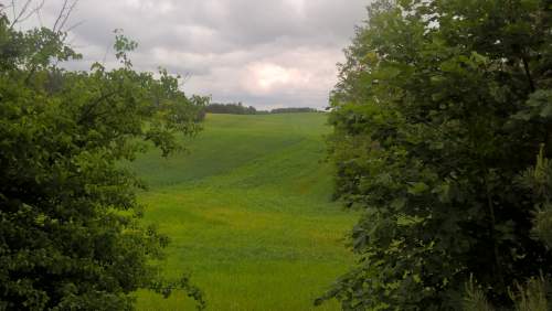 Mazury Stare Juchy działki 3000m2 w okolicach jeziora Garbas