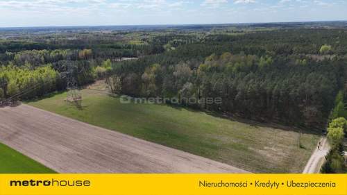 Działka na sprzedaż, 12015 m2, Gołąbek