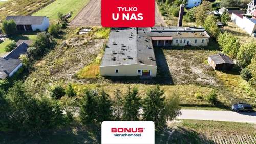 Pod działalność   5600 m gruntu i hala 960 m 