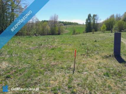 Kaszuby działka rekreacyjna 1134 m2 Przodkowo 30 min do Gd