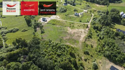 ul. Pagórkowa, Przyjaźń