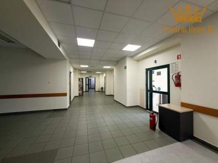 Na wynajem piętro 500m2, biuro, taniec, showroom Wola Odolany,...