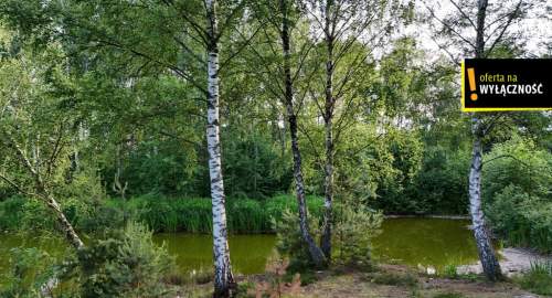 Działka ze stawem i lasem koło Solca Zdroju