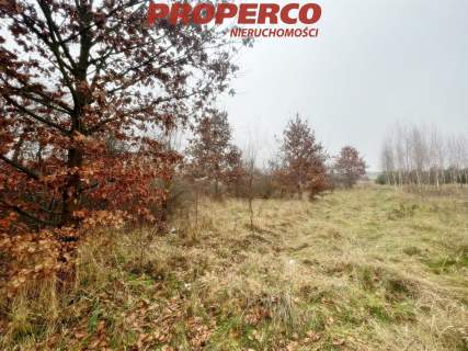 Działka 6100m2, Łukowa, gm. Chęciny