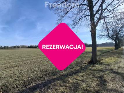 Twoja wizja, nasz fundament. Stan surowy z 2025r