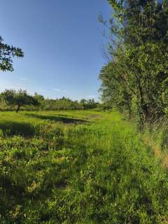 Działka 19 arów Szczepanowice