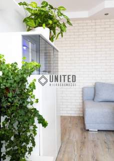 Okolice ul. Morskiej/Rozkład/Komórka/Balkon