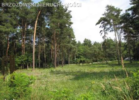 Józefów, 2400 m2, MPZP, usługowa