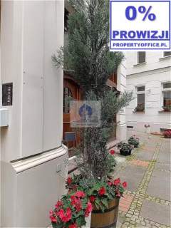 Śródmieście lokal biurowy 50m2 do wynajęcia