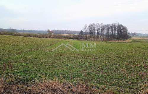Dom wolnostojący do remontu - Warmia