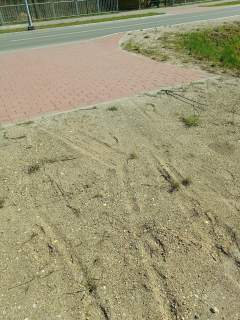Działka budowlana 10 arów w Jedwabne