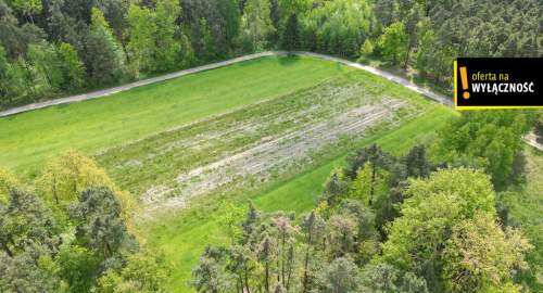 DZIAŁKA ROLNA ŚWIDNO GM. KRASOCIN 3992 M2