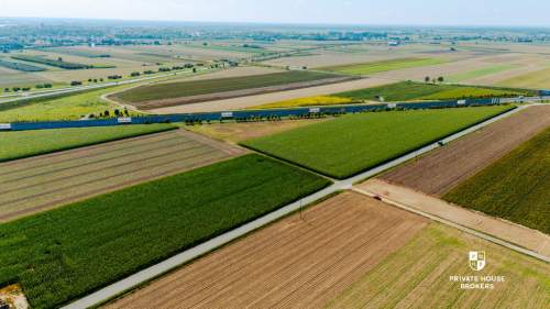 Dąbrowa obok Oleśnicy - budowlane 71 ar z MPZP