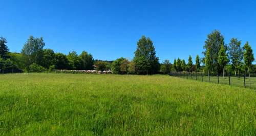 Czadrów Działka 26 arów Pełne media/ Las